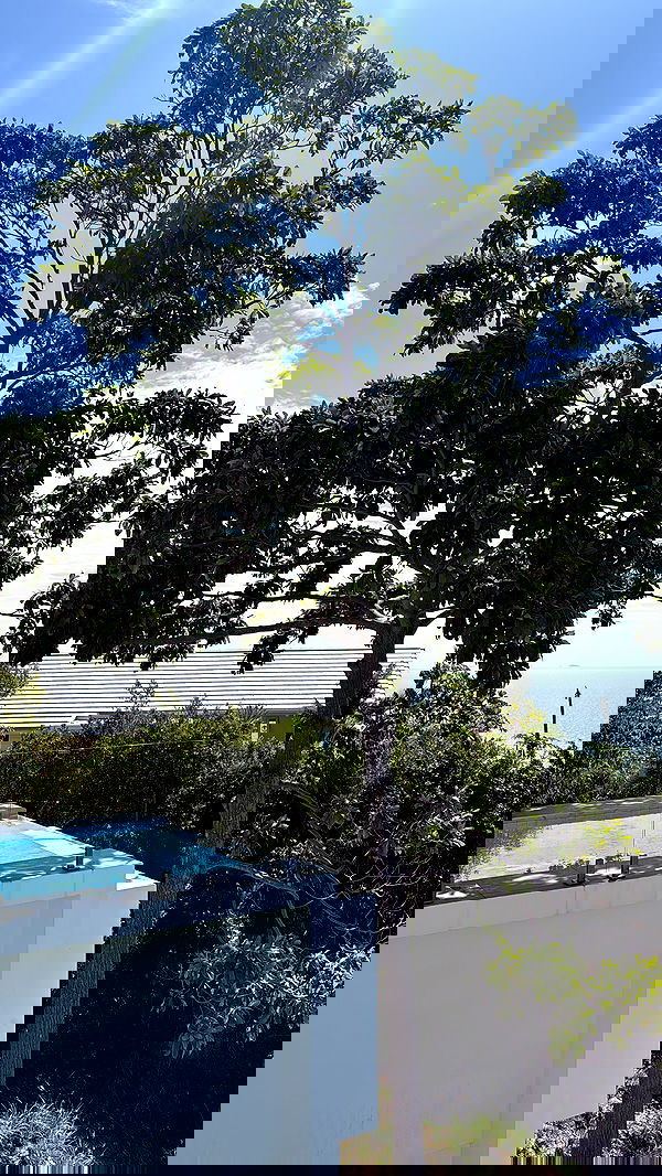 kesemgreenyer image ~ Altpins