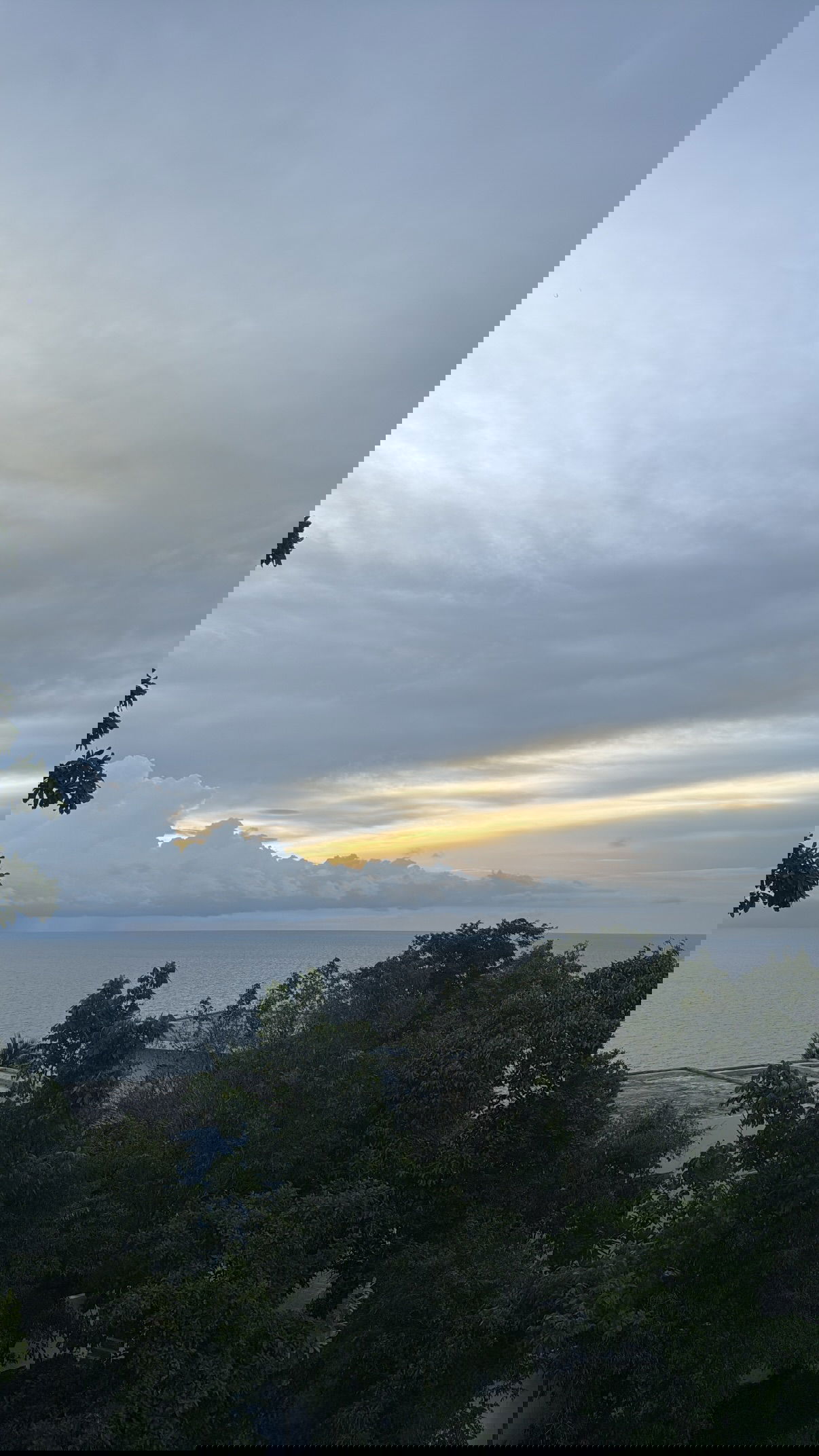 kesemgreenyer instagram image archive image