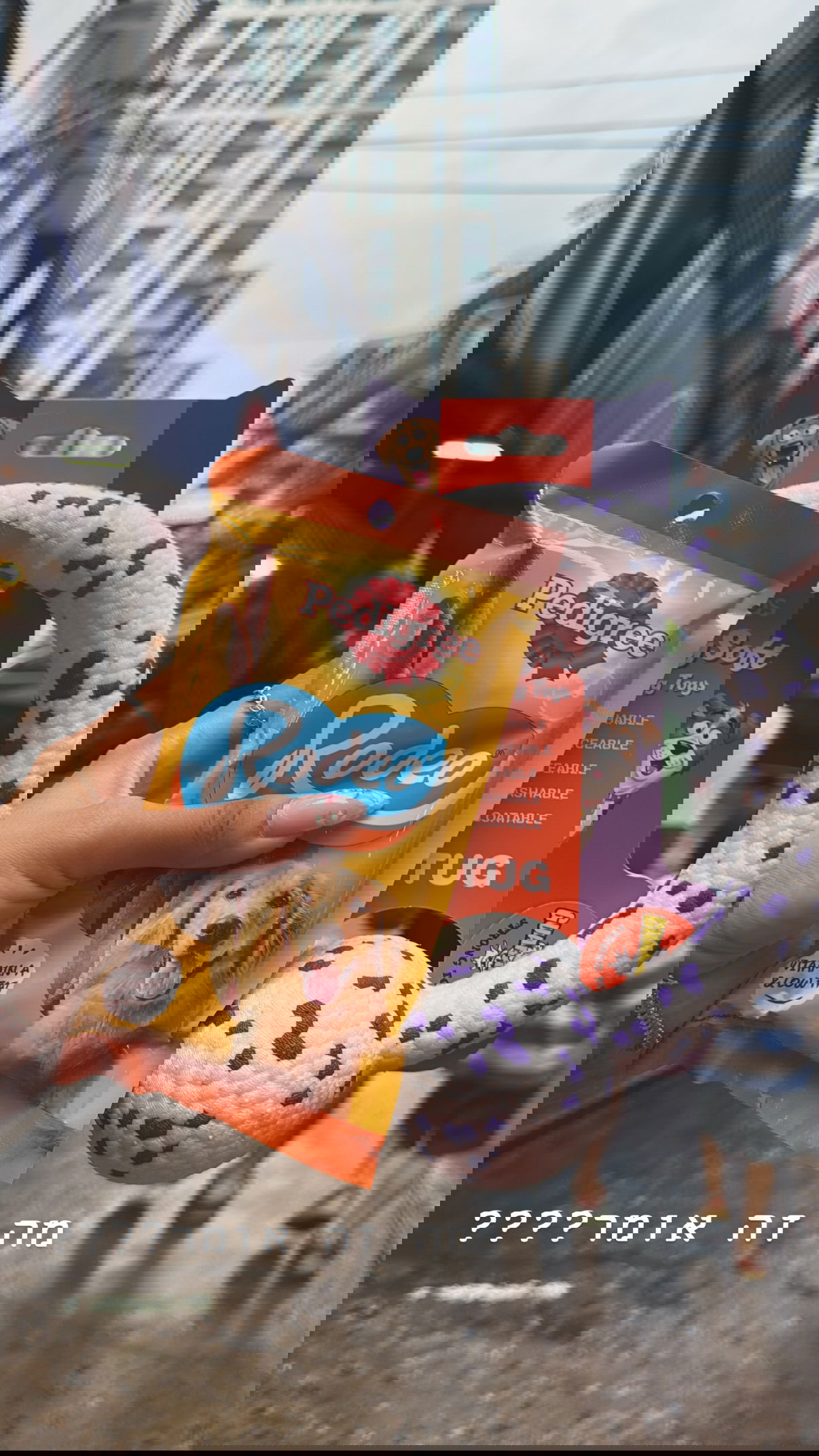 kesemgreenyer instagram image archive image