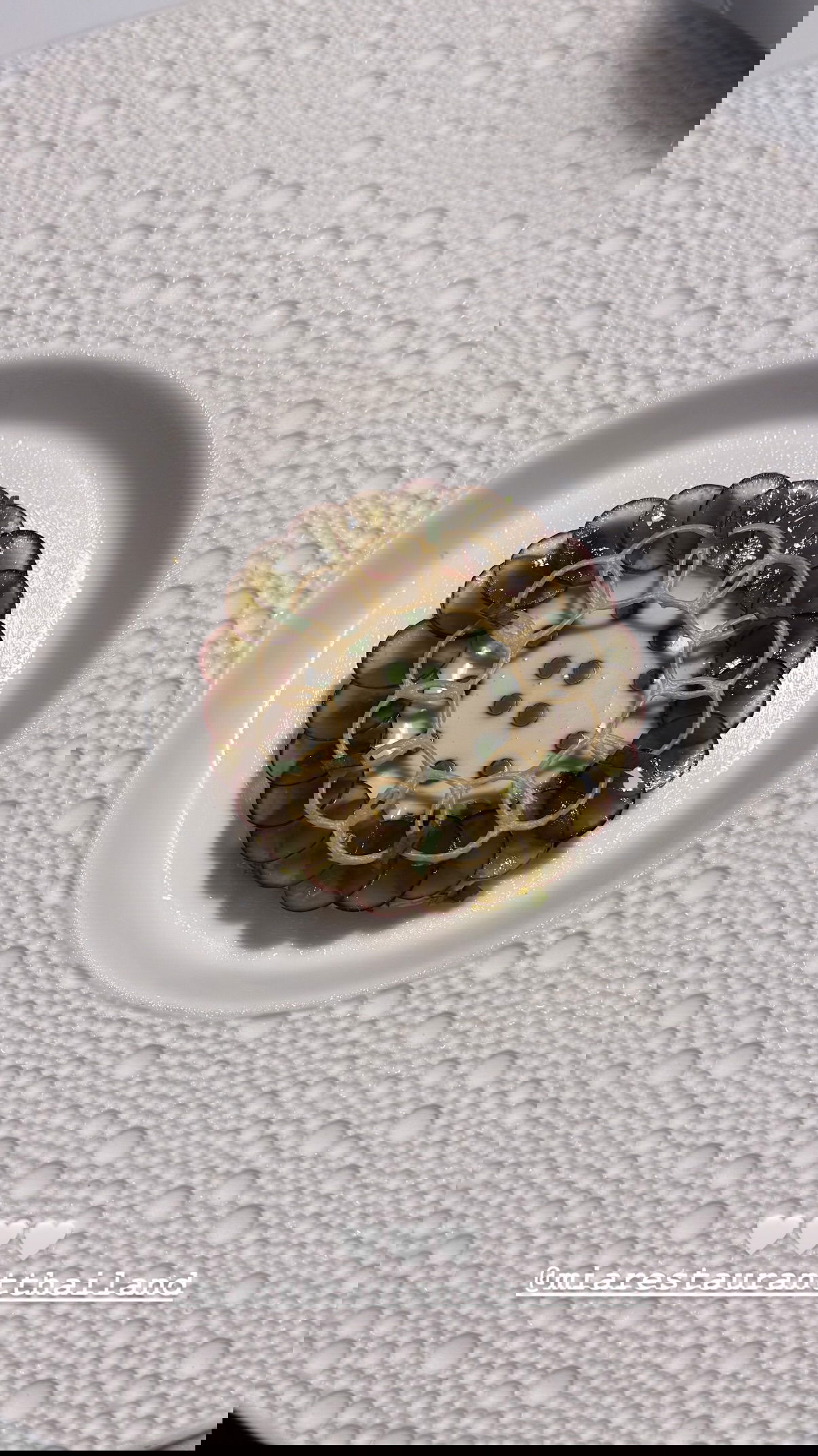 kesemgreenyer instagram image archive image