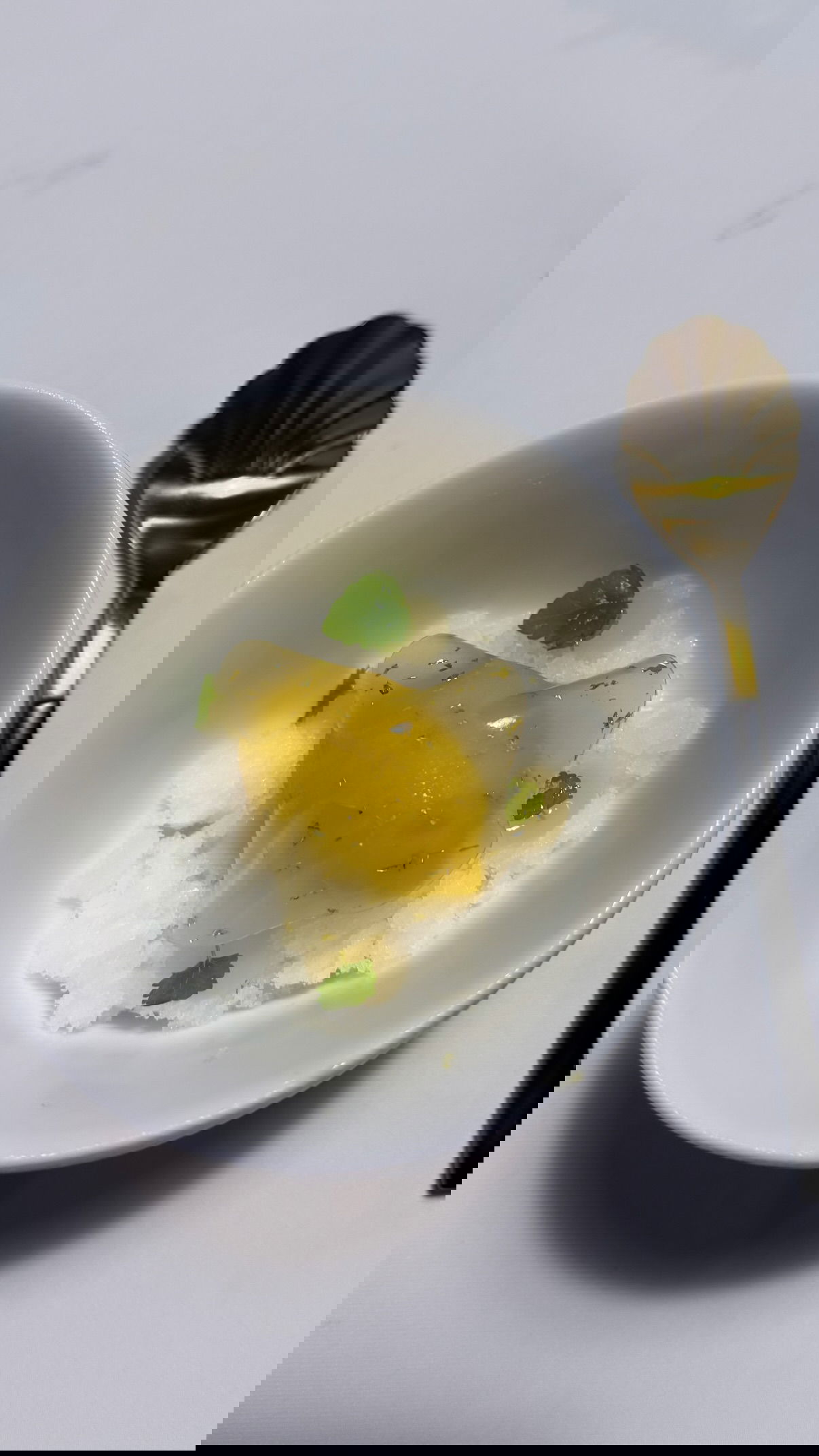 kesemgreenyer instagram image archive image