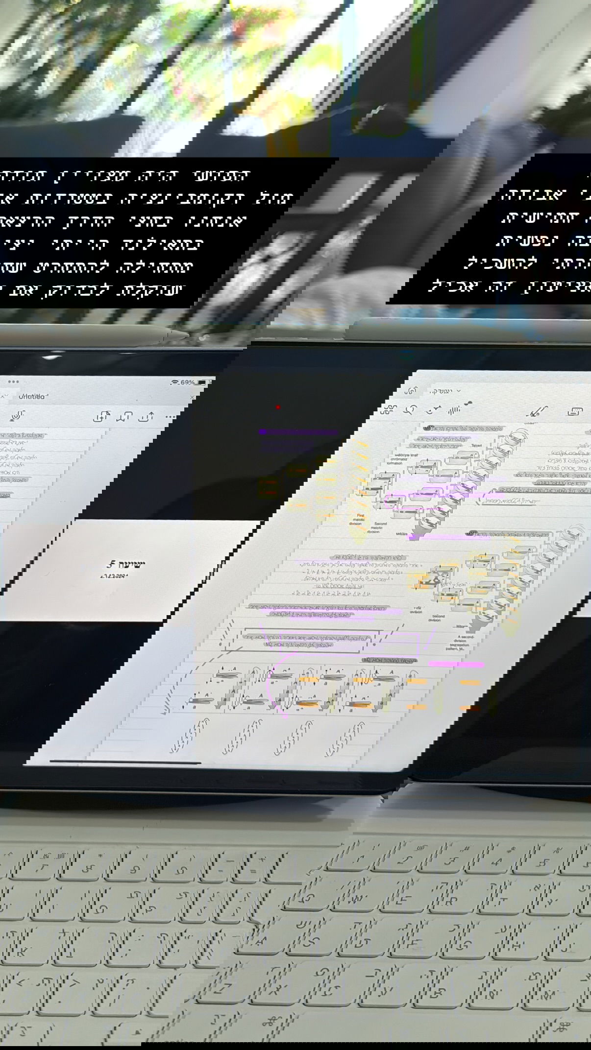 kesemgreenyer instagram image archive image