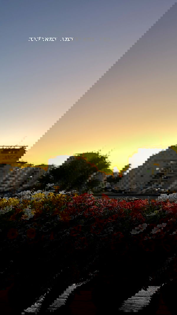 kesemgreenyer image ~ Altpins