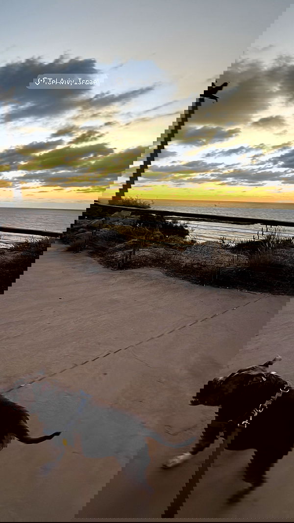 kesemgreenyer image ~ Altpins