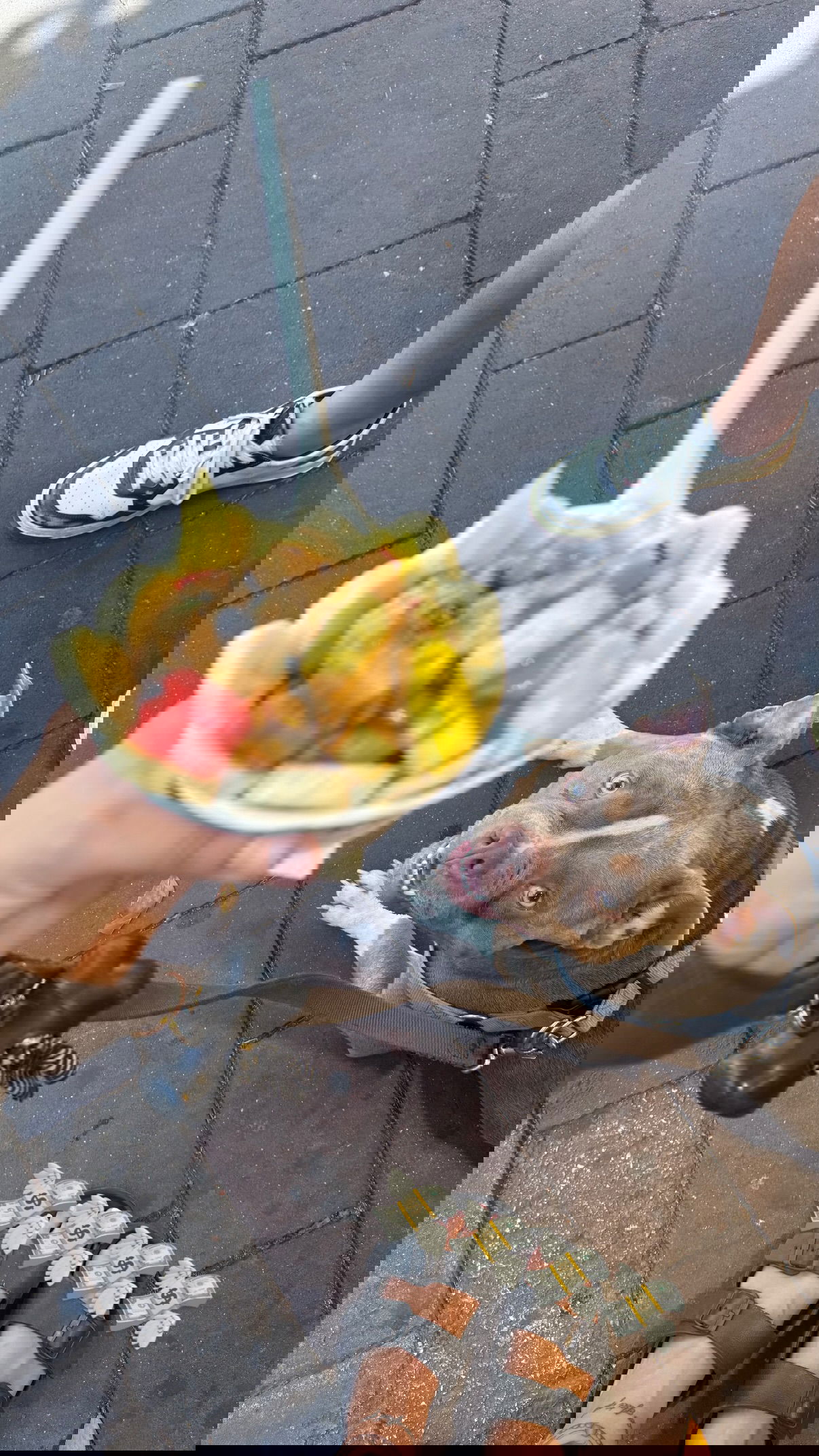 kesemgreenyer instagram image archive image