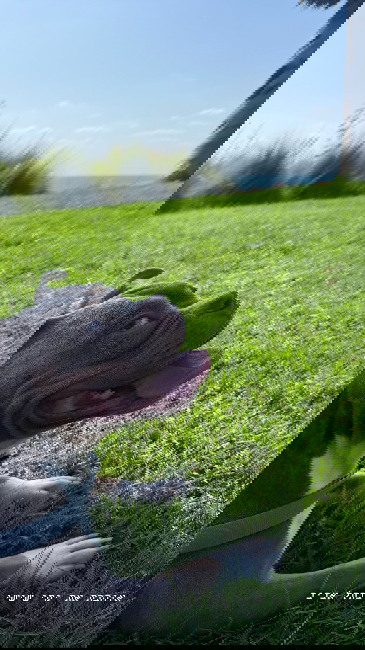 kesemgreenyer instagram image archive image