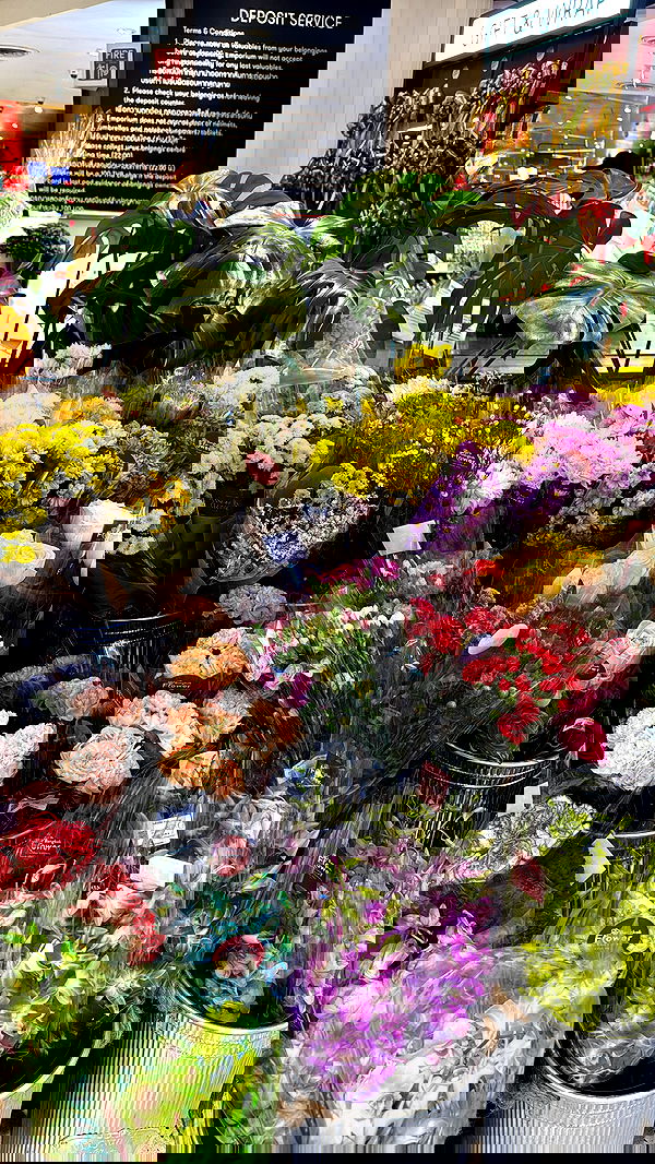 kesemgreenyer image ~ Altpins