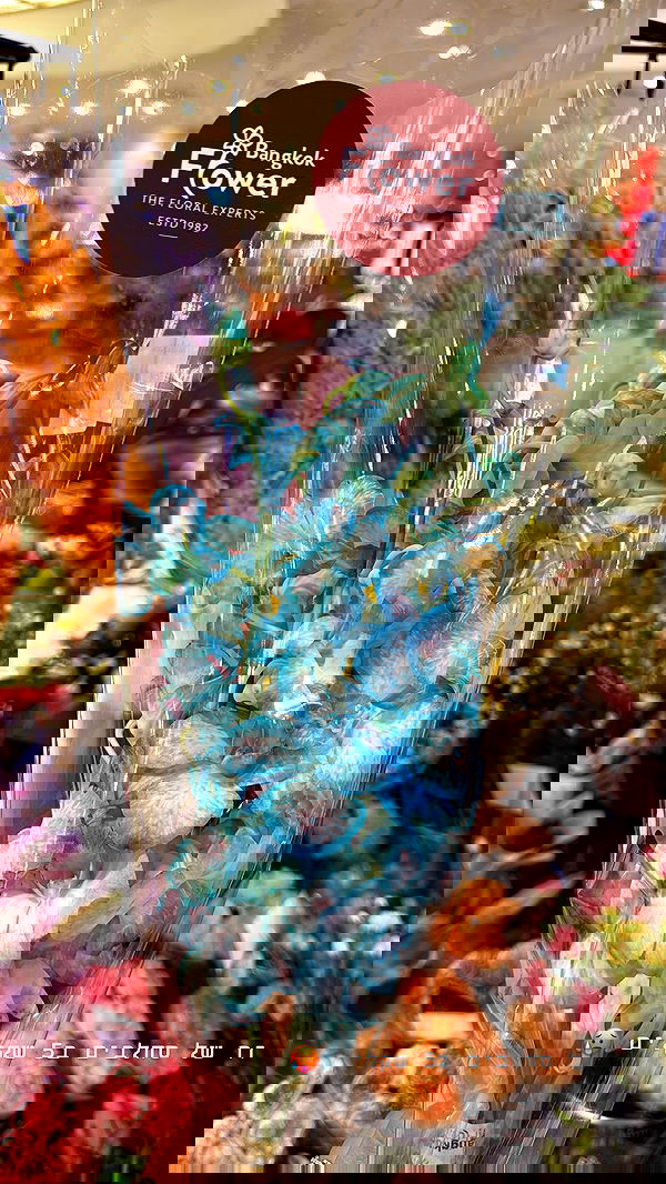 kesemgreenyer image ~ Altpins