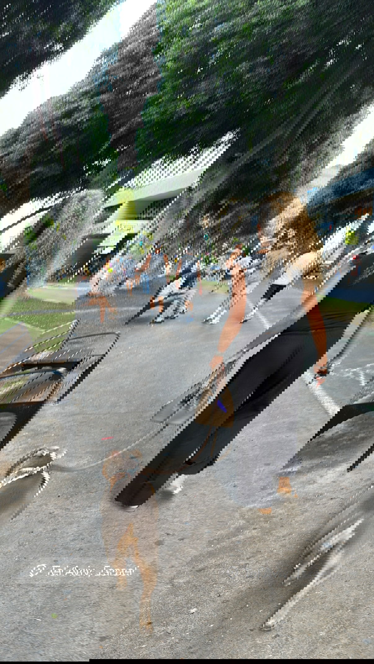 kesemgreenyer instagram image archive image