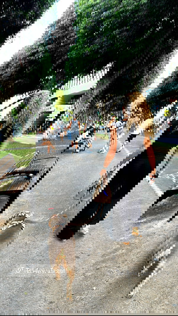 kesemgreenyer image ~ Altpins