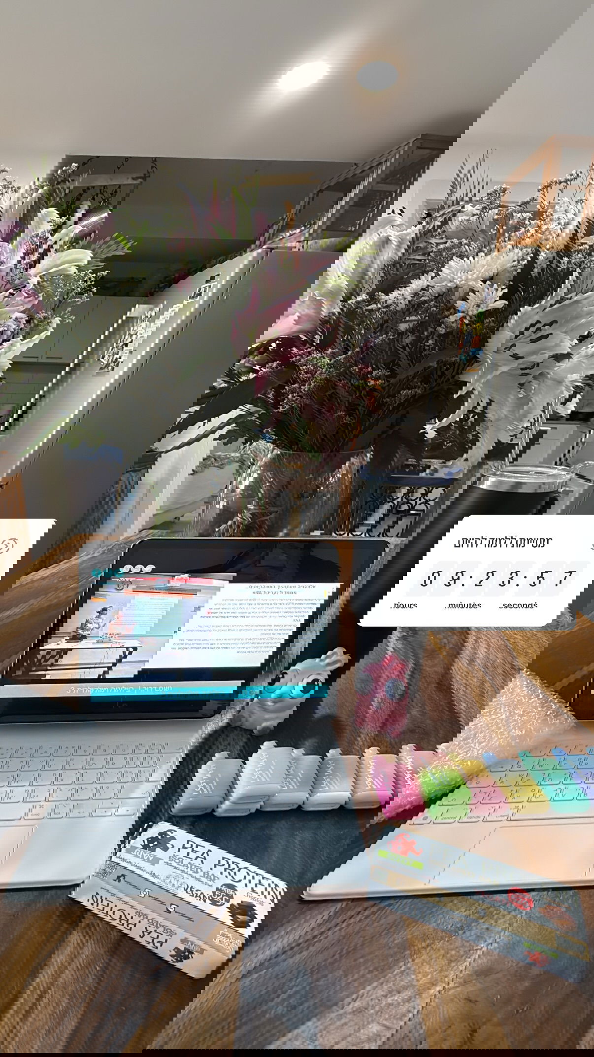 kesemgreenyer instagram image archive image