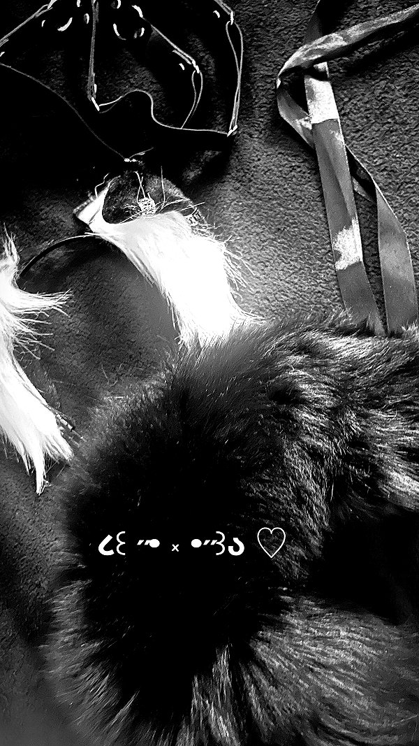 kill.ingkels kill.ingkels archive image
