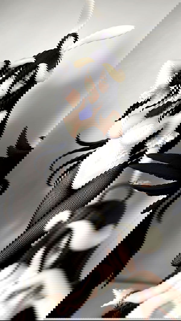 kitsudare kitsudare archive image