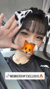 kitsunee.___ Altpins Profile Picture