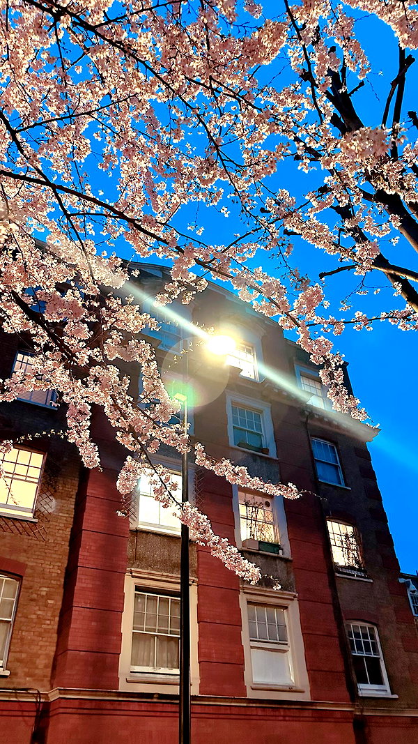 kittymerritt instagram image archive image