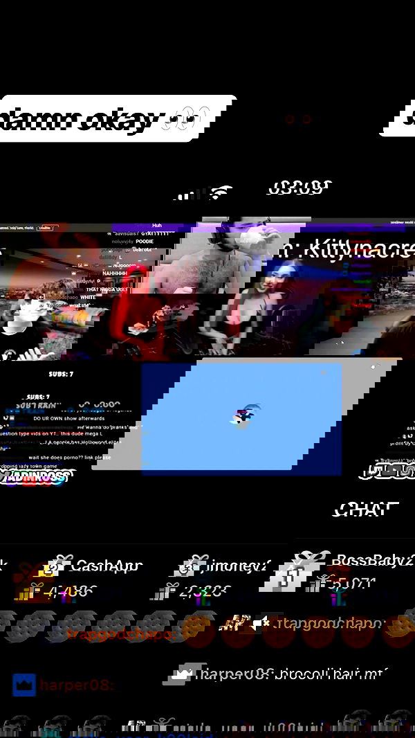 kittynacre kittynacre archive image