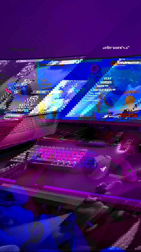 kittynacre kittynacre archive image