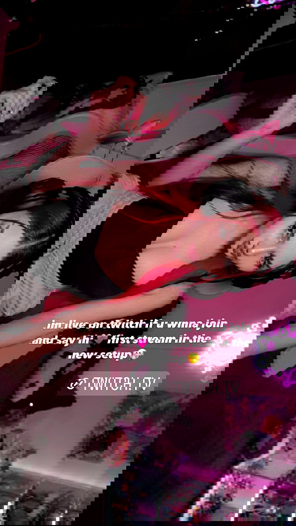 kittynacre kittynacre archive image