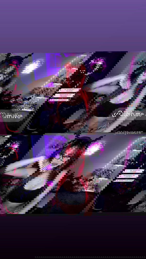 kittynacre kittynacre archive image