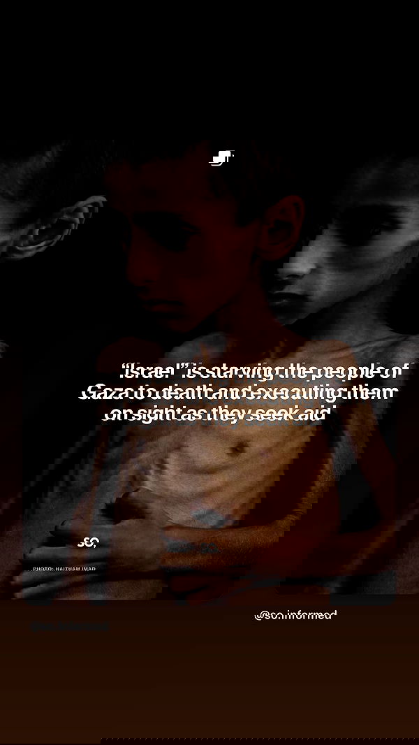 kittynacre kittynacre archive image