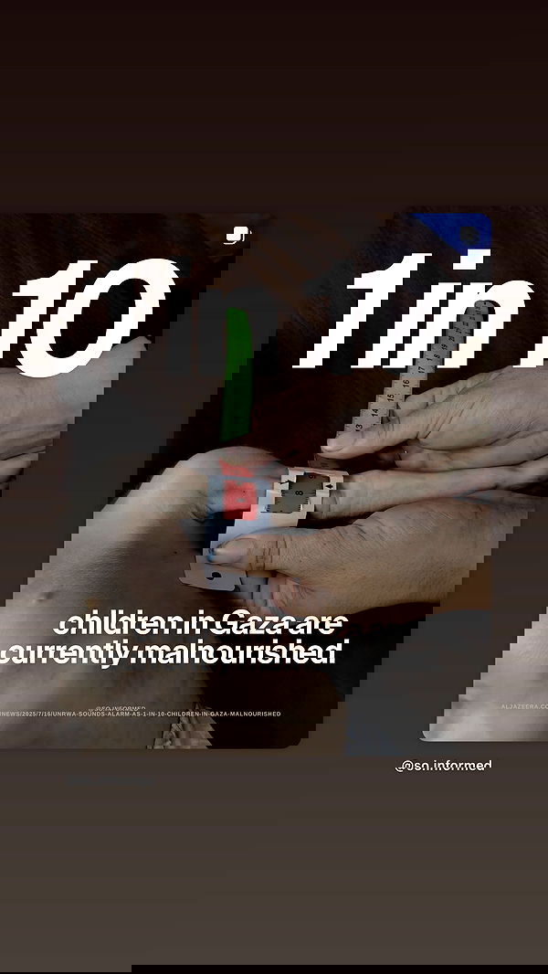 kittynacre kittynacre archive image