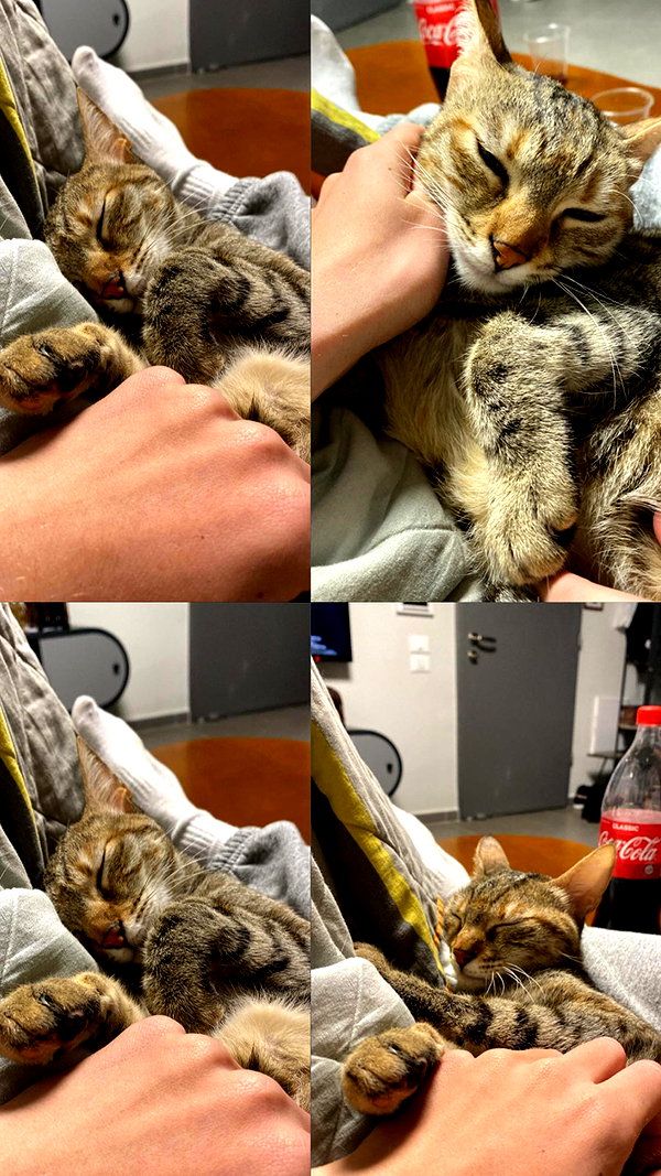 kkariinnnnn instagram image archive image