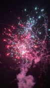 klarissasalazar Altpins Profile Picture