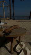 koral_toledo Altpins Profile Picture