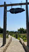 koral_toledo Altpins Profile Picture
