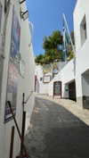 koral_toledo Altpins Profile Picture