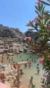 koral_toledo Altpins Profile Picture