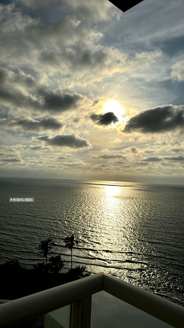koral_toledo koral_toledo archive image