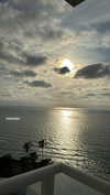 koral_toledo Altpins Profile Picture
