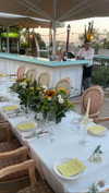 koral_toledo Altpins Profile Picture