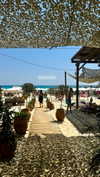 koral_toledo Altpins Profile Picture