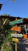 koral_toledo Altpins Profile Picture