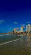 koral_toledo Altpins Profile Picture