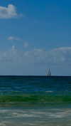 koral_toledo Altpins Profile Picture