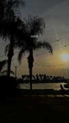 koral_toledo Altpins Profile Picture