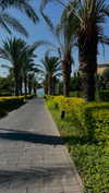 koral_toledo Altpins Profile Picture