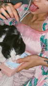 kriiizellda Altpins Profile Picture