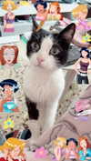 kriiizellda Altpins Profile Picture
