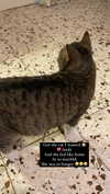 kriiizellda Altpins Profile Picture