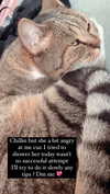 kriiizellda Altpins Profile Picture
