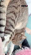 kriiizellda Altpins Profile Picture