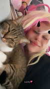 kriiizellda Altpins Profile Picture