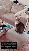 kriiizellda Altpins Profile Picture