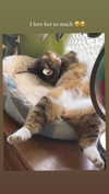kriiizellda Altpins Profile Picture