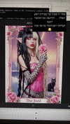 kriiizellda Altpins Profile Picture