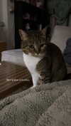 kriiizellda Altpins Profile Picture